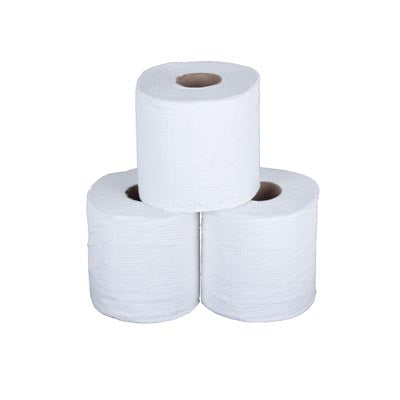 Toilet Paper Unwrapped 1 Ply 500 Sheets 0174 (Pack 48)